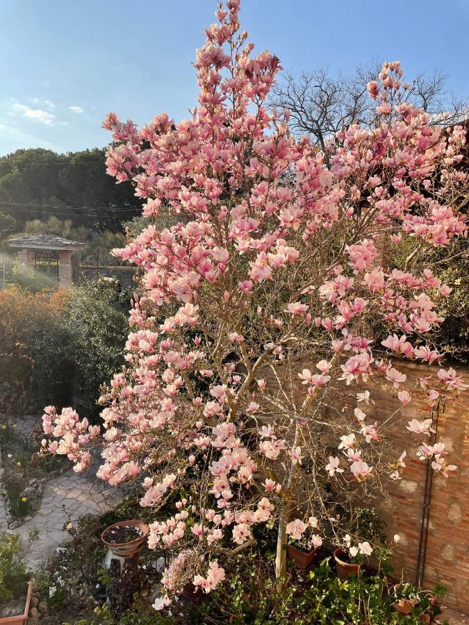 C'Era Una Volta B&B Perugia Eksteriør billede